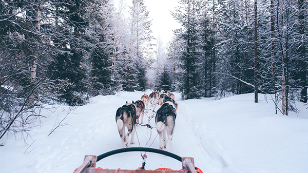 Balade en chien de traîneau Les 2 Alpes Venosc Village