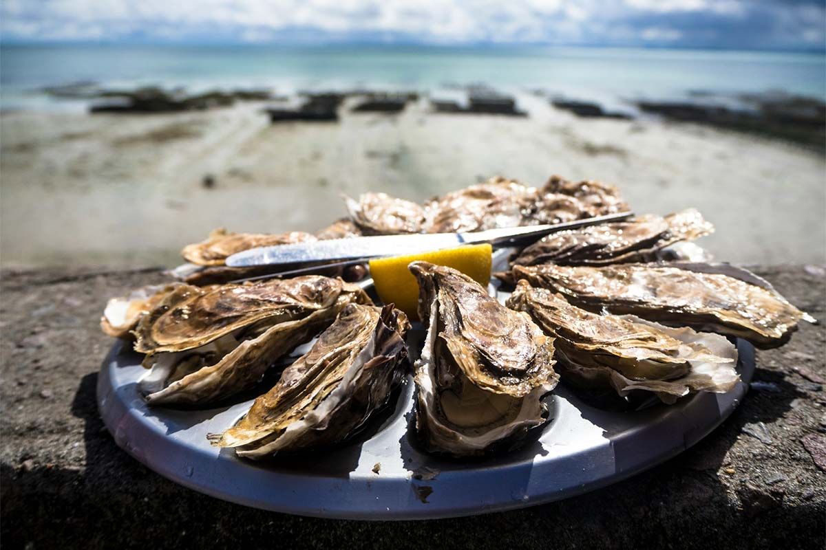 Plateau d'huitres de Cancale en Bretagne