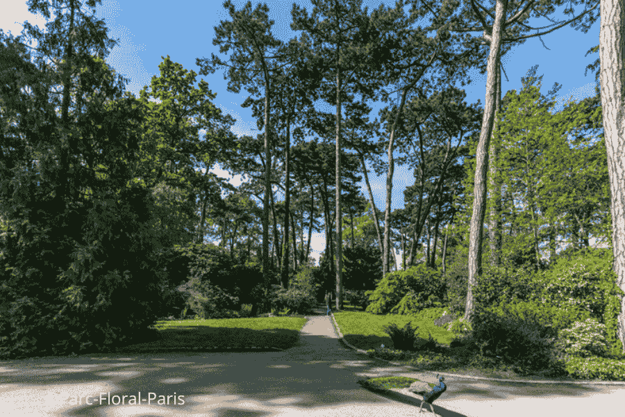 Découvrez le Parc Floral de Paris proche de votre résidence Vacancéole