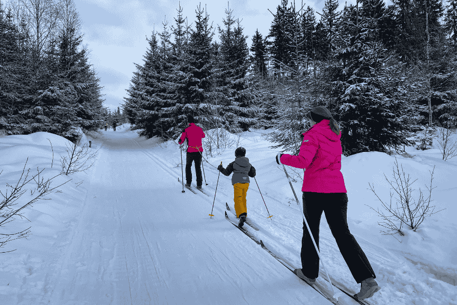 Pistes de ski de fond dans les Alpes