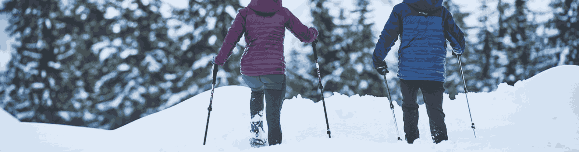 Sorties en raquette à neige en Savoie (73)