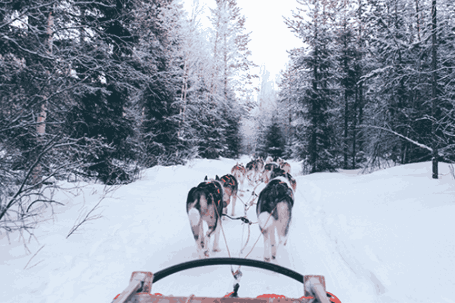 Balade en chien de traîneau Les 2 Alpes Venosc Village
