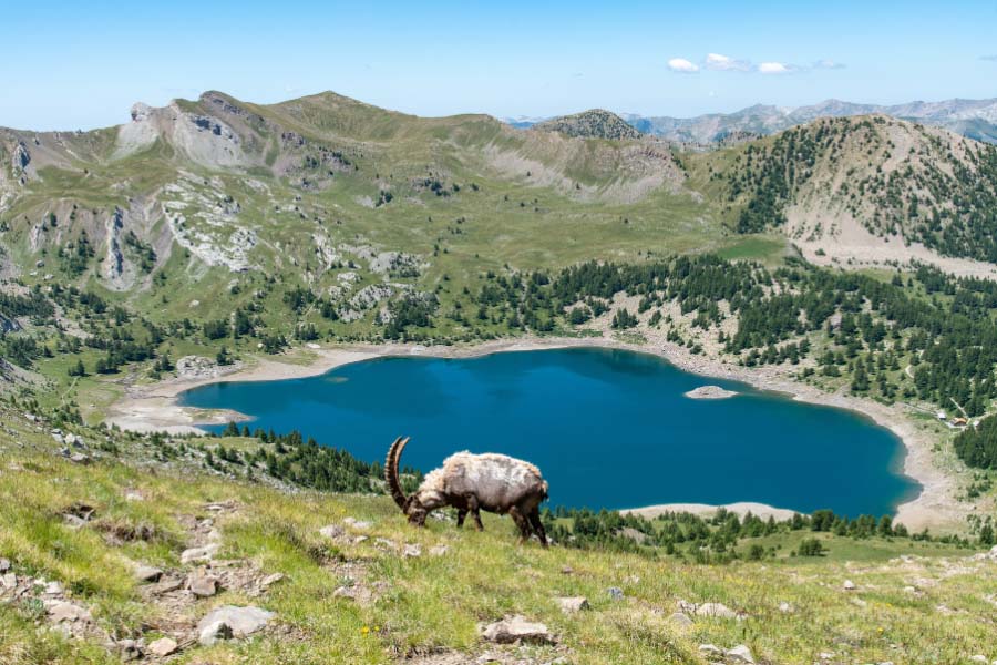 Lac d'Allos