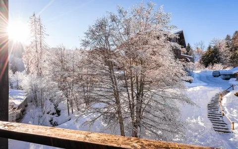 Grand Morillon à Morillon - Studio