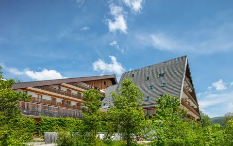 Résidence les Gentianes - Gresse en Vercors - Alpes du Nord