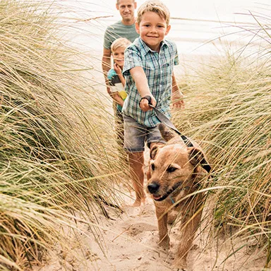 location_vacances_animaux-admis