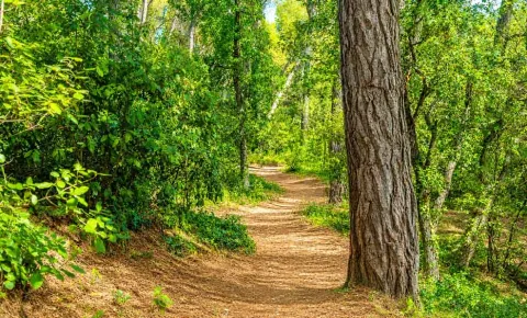 Chemin Les Demeures du Ventoux