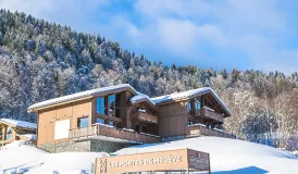 Chalets Les Portes de Megève à Praz sur Arly - extérieur hiver