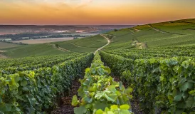 Préparez vos vacances dans la Résidence Les Demeures Champenoises à Épernay