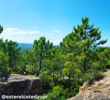 Idées d'une semaine de vacances type à Fréjus - Ⓒesterelcotedazur