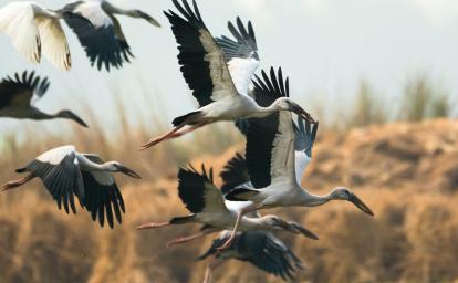 3 bonnes raisons d'encourager le tourisme durable