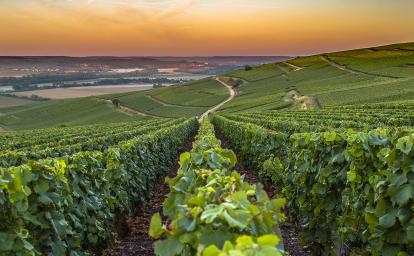 Préparez vos vacances dans la Résidence Les Demeures Champenoises à Épernay