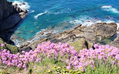 10 raisons d'adorer le printemps pour votre location de vacances en France, image bretagne