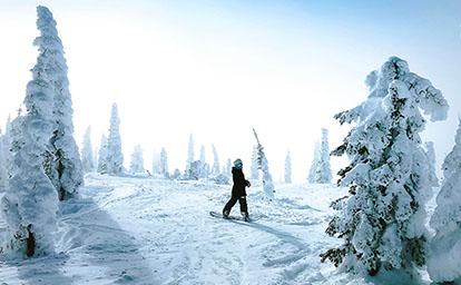 banniere-snow-sapins-listing-blog